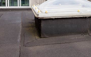 disadvantages of Siadar Iarach flat roofs